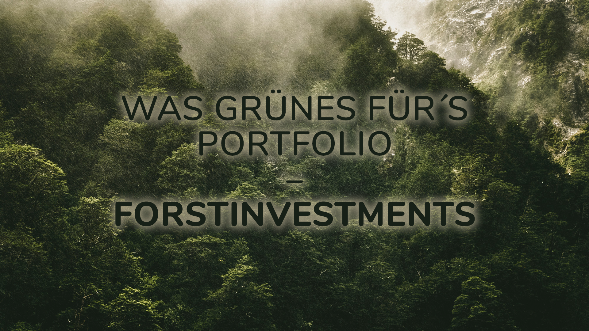 Read more about the article Was Grünes für´s Portfolio – Forstinvestments